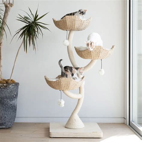 Out of Stock - MAU Ivy 3, 53-in Modern Cat Tree, Natural - Chewy.com