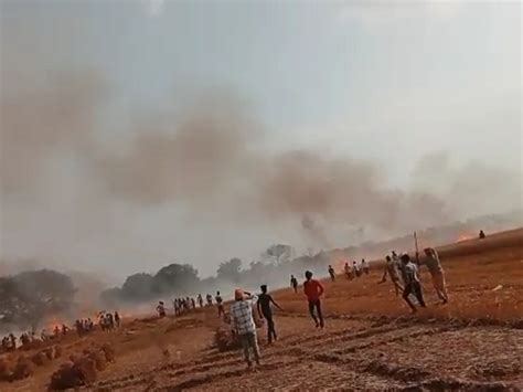 Ready Crop Of 10 Bighas Of Wheat Burnt To Ashes Farmers Shedding Tears