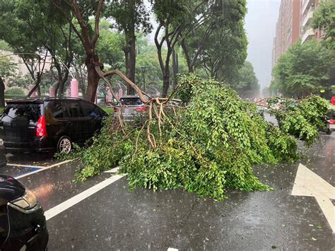 台中午後滂沱大雨 路樹倒塌1車遭壓損 地方 中央社 Cna