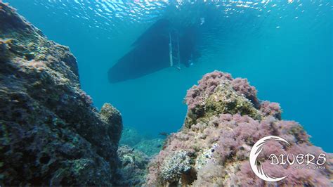 Dive Sites Divers Cabo De Palos