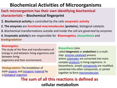 Solution Presentation About Biochemical Activities Of Microorganisms