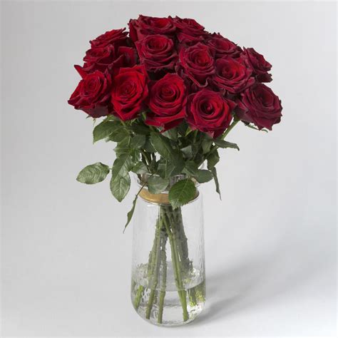 Long-Stem Red Roses | Two-Dozen | Classic Romantic Styling