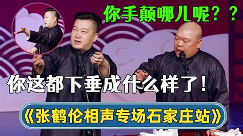 【全程回顾】😳张鹤伦：你这都下垂成什么样了！郎鹤炎：你手颠什么？ 德云社张鹤伦相声专场石家庄站 德云社相声 郭德纲 于谦 岳云鹏