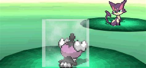 tm light screen  pokemon black white guide strats