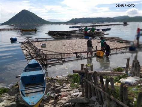 Tone Toneladang Tilapia Apektado Ng Fish Kill Sa Taal Lake Dziq Radyo