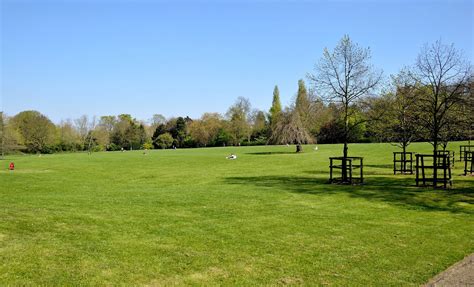 Peckham Rye Park And Flowers Picture This Uk