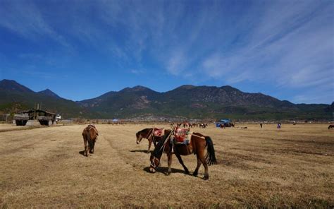 Lashi Lake and Zhiyun Temple in Lijiang Ancient Town