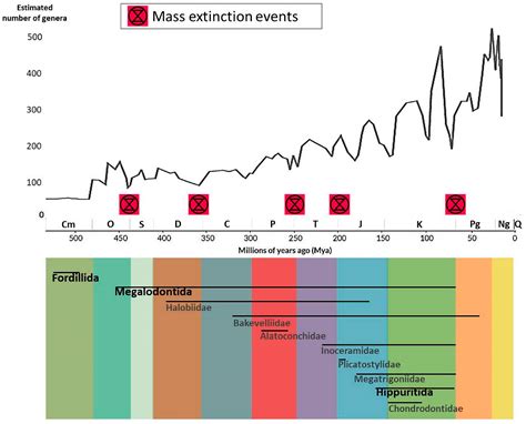 Mass Extinctions Create Conditions That Promote 9