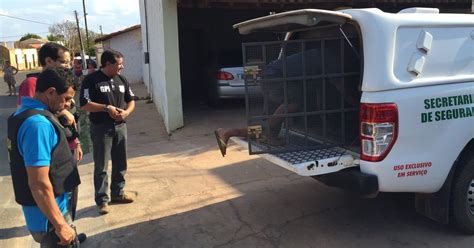 G Preso Suspeito De Chacina Que Matou Quatro Pessoas No Norte Do