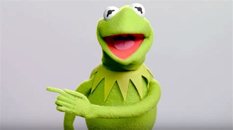 Kermit the Frog HD Wallpapers on WallpaperDog