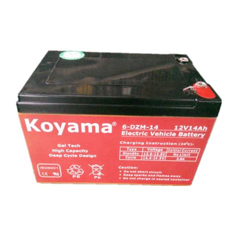 12V 14ah 6 Dzm 14 Koyama Electric Vehicle Battery AGM Battery And E