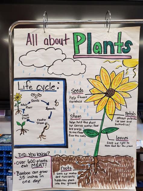 All About Plants Anchor Chart Etsy Uk Plants Anchor Charts Anchor Charts Plant Life Cycle