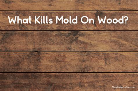 Treating Mildew On Wood