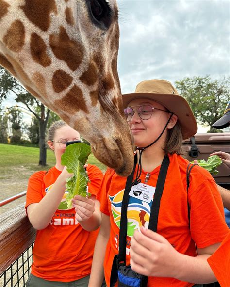 4h online missouri 8