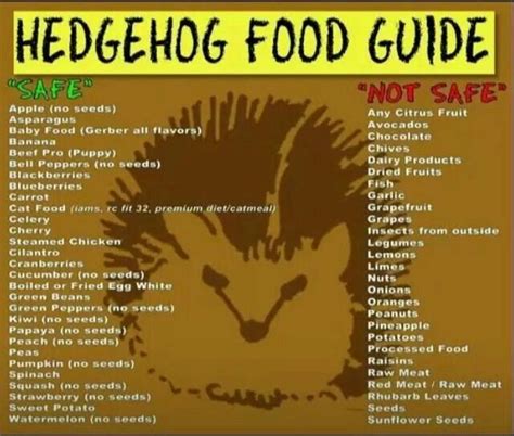 Hedgehog food, Hedgehog cage, Hedgehog care