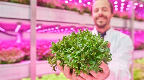 Vertical Farming Philips Lighting