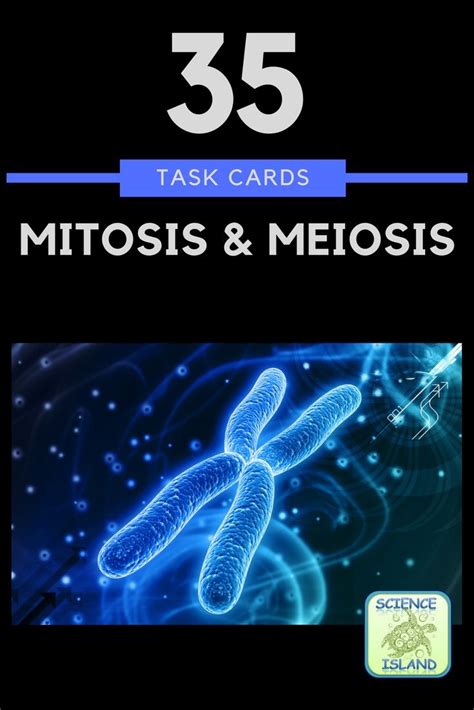 Mitosis And Meiosis Task Cards Activity For Biology Task Cards