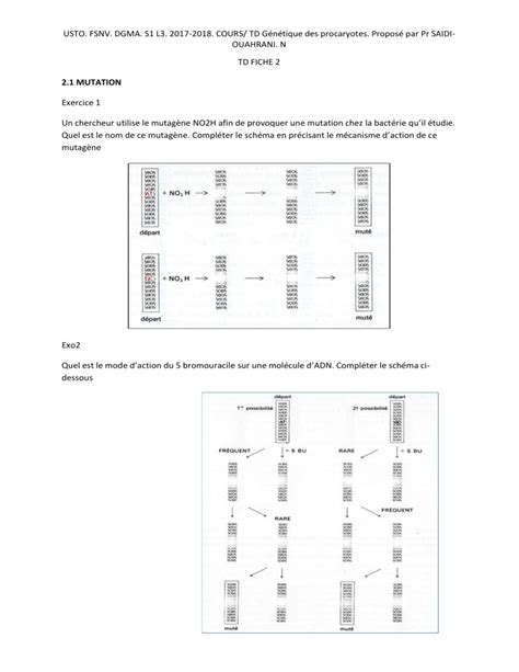 TD FICHE 2 Réparation mutation