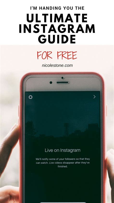 How To Gain Instagram Followers Fast In 2020 The Ultimate Guide — Nicole Stone Instagram