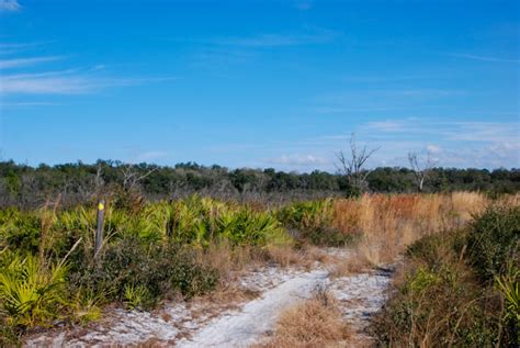 Hiking Wildlife Management Areas Biking Camping Paddling Florida