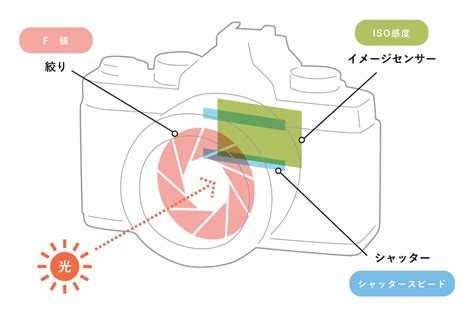 【f値（絞り）とボケ】被写体の前後をぼかして、きれいなボケ写真を撮ろう！ Nico Stop（ニコストップ）｜フォトライフスタイルwebマガジン