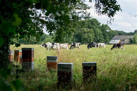 Pour Une Agriculture Locale Et Cologique Place Lautonomie