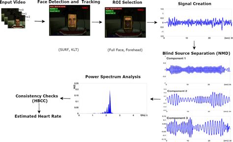 Steps Of The Proposed Remote Ppg Based Heart Rate Estimation Method