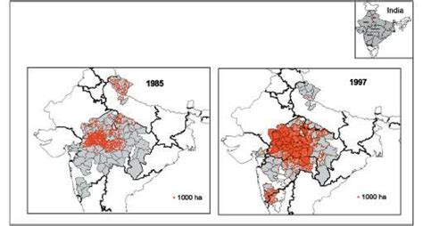 Soybean Distribution In India During 1985 And 1997 Download