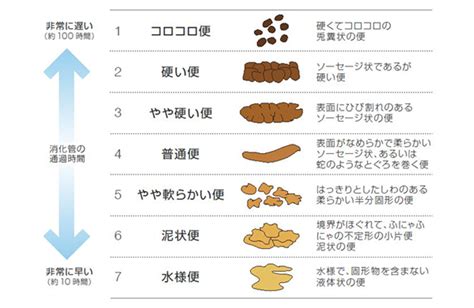 便通異常（便秘や下痢）｜横浜市瀬谷区の田川クリニック