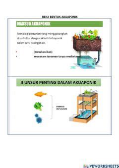 Reka Bentuk Akuaponik Interactive Worksheet