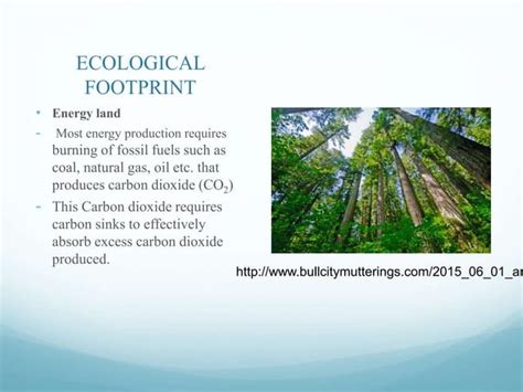 Ecological Foot Print Ppt