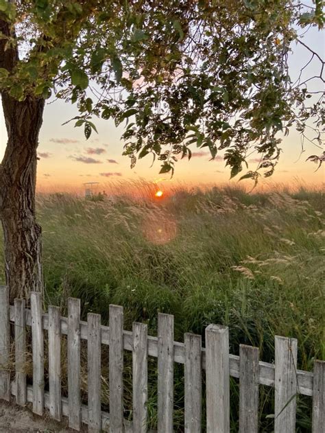 Grand Bend sunset : r/ontario