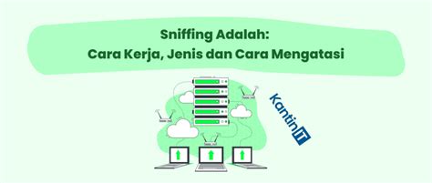 Sniffing Adalah Cara Kerja Jenis Dan Cara Mengatasi Kantinit