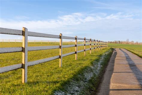 Horse Meadow With A Road Next To It Stock Photo Image Of Park