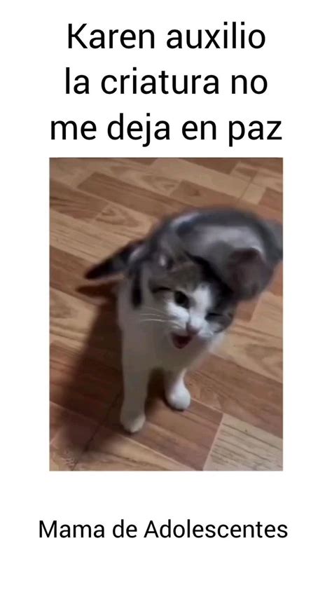 Karen La Criatura No Me Deja En Paz Ya Estoy Arta Auxilio Ya Estoy