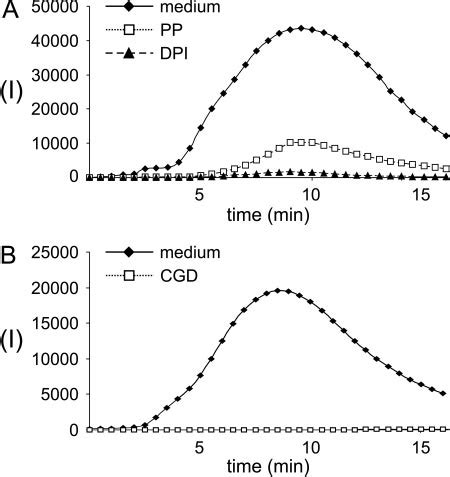 NADPH Oxidase Activity Is Inhibited By PP And DPI In Normal Human