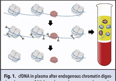 Figure 1 from Nucleosome Spacing-The Baggage Tag for Cell-Free DNA ...