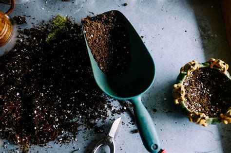 Cómo Aprovechar Los Recursos Naturales En La Huerta