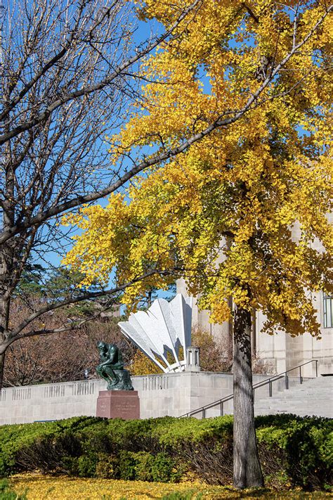 Nelson Atkins Museum Of Art Thinker Photograph By Carol Schultz Fine