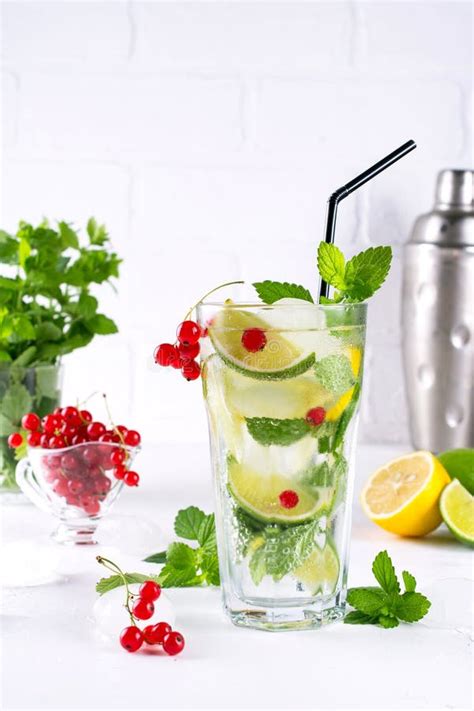 Various Berry Lemonade Or Mojito Cocktails Fresh Iced Lemon Lime Red Currant Infused Water