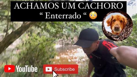 Achamos Um Cachorro Enterrado Tutu Vai Ser O Nome Dele Youtube