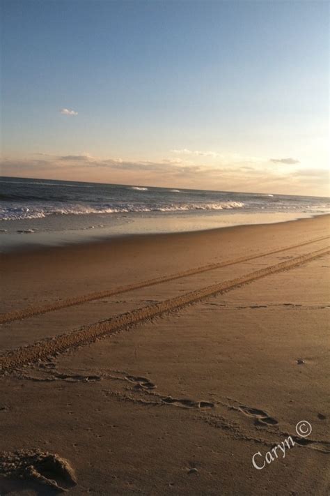 Robert Moses Beach Long Island New York Island Beach Long Island