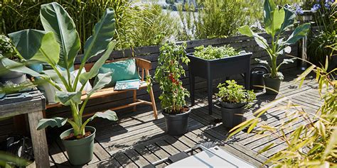 Comment faire un carré potager sur pied Tous nos conseils pour débuter