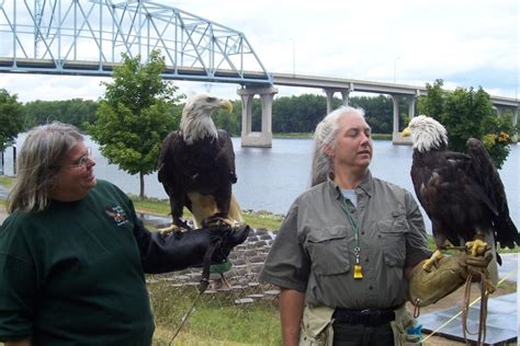 Meet Majestic Eagles at the National Eagle Center in Wabasha, MN