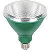 Westinghouse 3314900 100 Watt Equivalent PAR38 Flood Green Outdoor