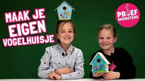 Maak Je Eigen Houten Vogelhuisje Met De Proefmonsters Youtube