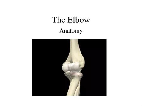 Ppt The Elbow Powerpoint Presentation Free Download Id5625649