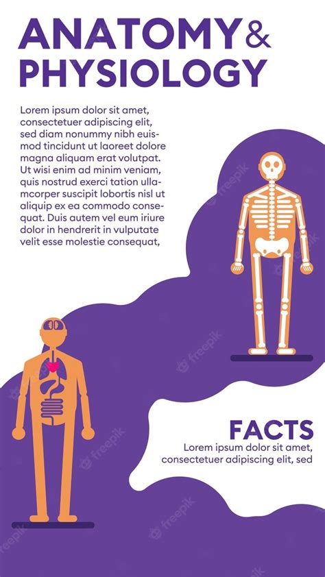 Free Vector | Anatomy and physiology illustration