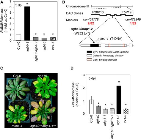 Figure From Mitogen Activated Protein Kinase Phosphatase Mkp