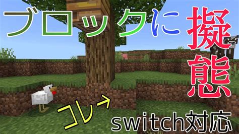 マイクラ統合版 ブロックに擬態できるコマンドを作ってみた‼︎【switch対応】 マイクラ（minecraft）動画まとめ